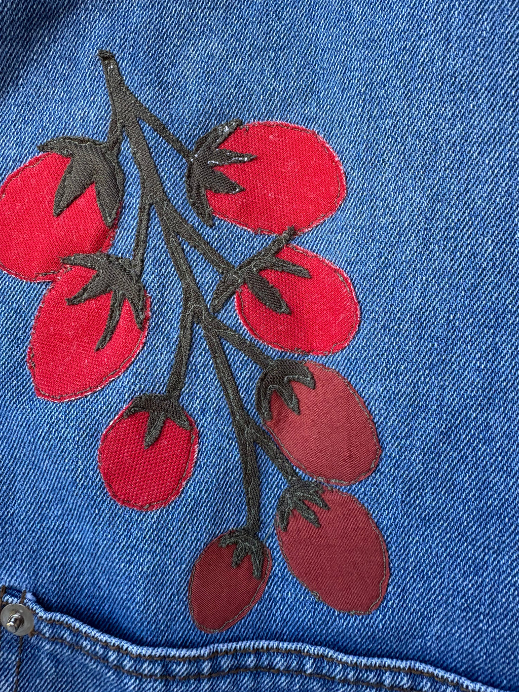 Tomato Dreams Denim Dress