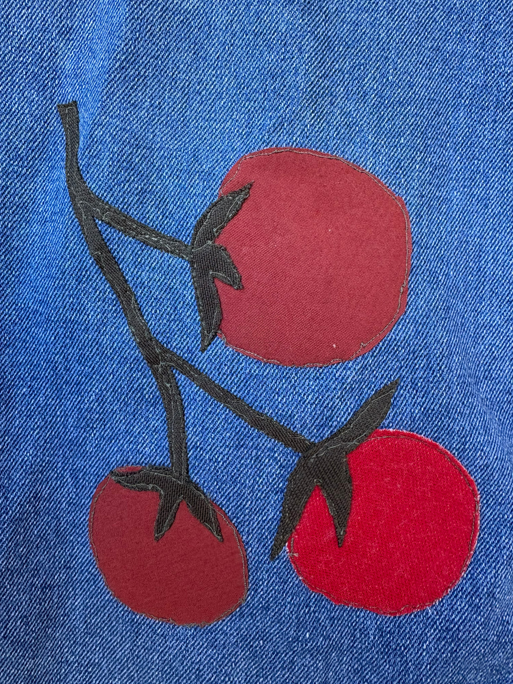 Tomato Dreams Denim Dress